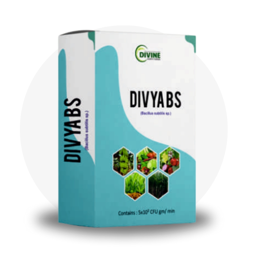 Divya BS